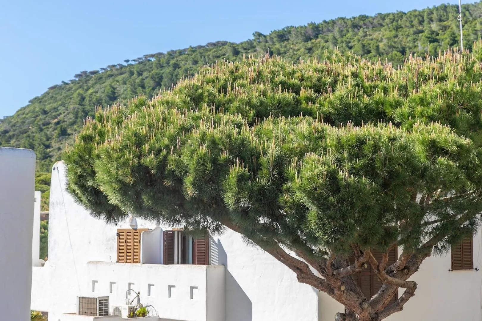 Apartment Adosado Nuevo Con Piscina, Playa, Garaje Y Jardin
