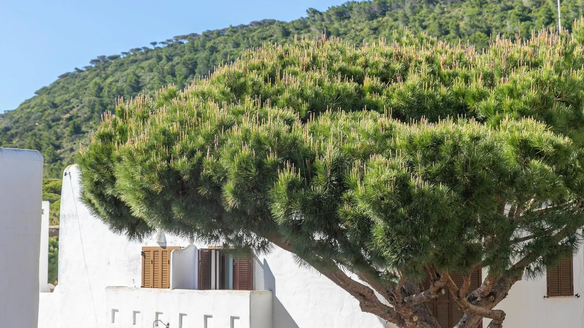 Adosado Nuevo Con Piscina, Playa, Garaje Y Jardin Apartment Los Canos De Meca